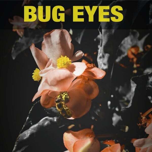 Cover art for Bug Eyes